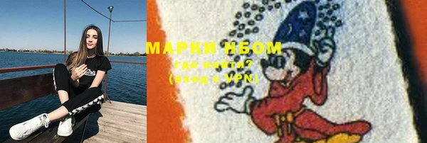 сатива Бородино