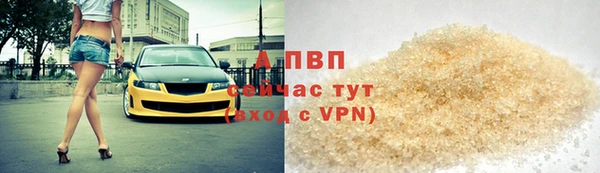 сатива Бородино