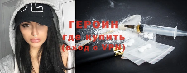 индика Богородицк