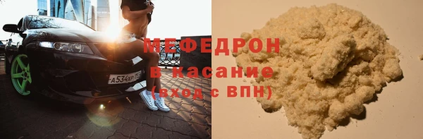 индика Богородицк