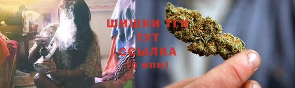 бошки Богданович
