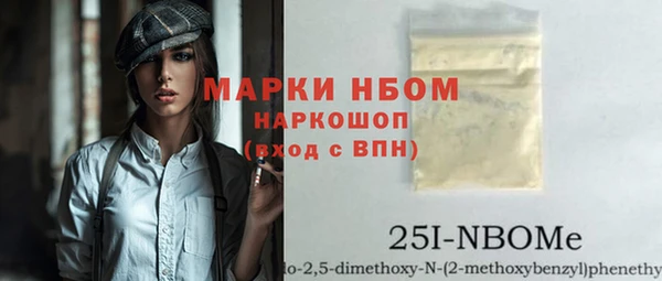 сатива Бородино