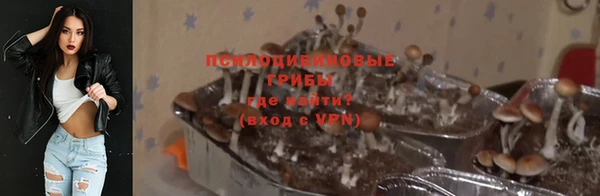 бошки Богданович