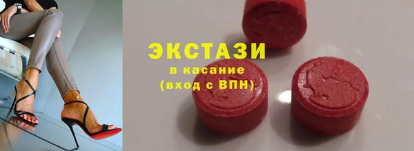 индика Богородицк