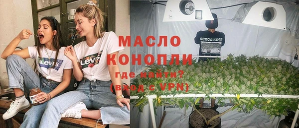 индика Богородицк