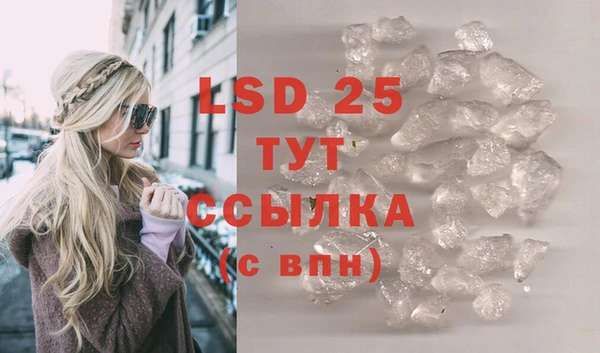 бошки Богданович