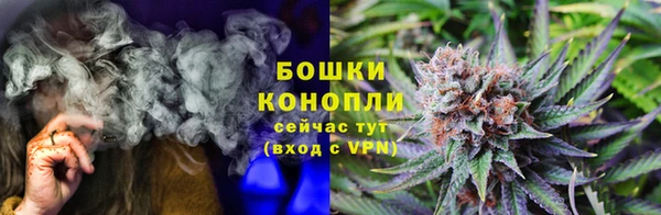 бошки Богданович