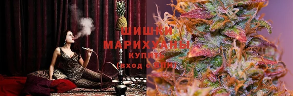 индика Богородицк