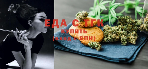 индика Богородицк