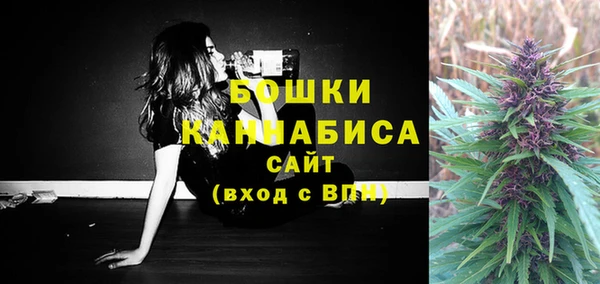 индика Богородицк