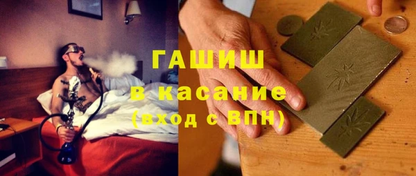 сатива Бородино